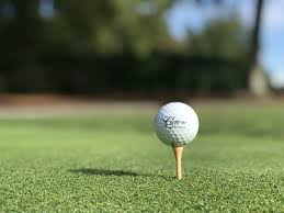 Image result for Crofton Albion Sports & Social Club