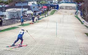 Image result for Uk Dry Ski Slopes