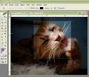 Cropping Photos Tutorial