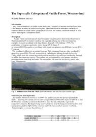 Attēlu rezultāti vaicājumam “Harminius undulatus”