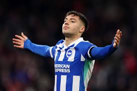 Image result for Brighton & Hove Hockey Club