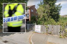 Image result for lewisham and crystal palace indoor bowls club