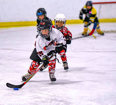 Image result for Norton Cyclones Skater Hockey Club