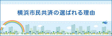 Image result for 高潮 津波 別物