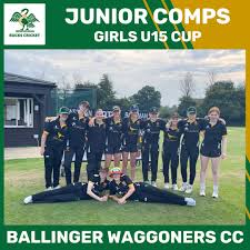 Image result for Ballinger Waggoners Cricket Club