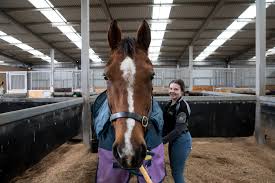 Image result for Ayr Riding Club