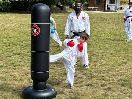 Image result for HEIWA SHOTOKAN KARATE CLUB