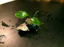 Image result for 201205.html#201205031