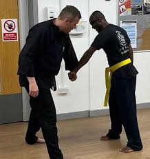 Image result for Hung Kuen School Of Shaolin Kung Fu