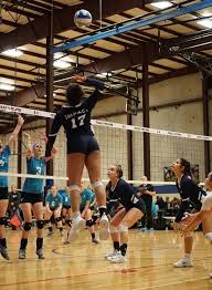 Image result for Bournside Volleyball Club