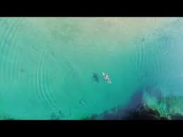 Image result for 水野X68仁義