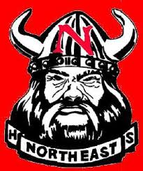 Image result for North East Vikings