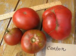 Afbeeldingsresultaat voor carbon tomato