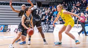 Image result for Nottingham Wildcats