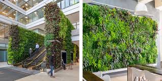 Image result for living wall
