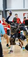 Image result for Deva Handball Club