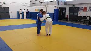 Image result for Redbridge Judo Club