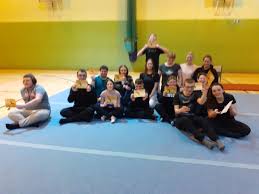 Image result for stonehaven gymnastics club