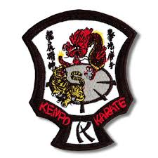 Image result for Hidden Dragon Karate-Do