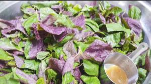 Image result for 깱깲깳깴깵깶깷깺깾깿꺀꺁꺂꺃꺆꺇꺈꺉꺊꺋꺍꺎꺏꺐