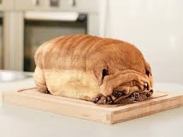 Afbeeldingsresultaat voor honden