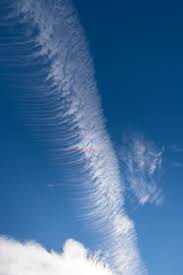 Attēlu rezultāti vaicājumam “Cirrus fibratus”