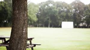 Image result for Cranleigh St Andrews Cricket Club