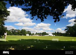 Image result for Halstead Cricket Club