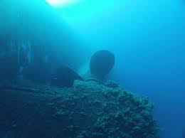 Image result for Exe To Sea Diving
