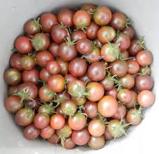 Afbeeldingsresultaat voor black cherry tomato