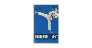 Image result for Chichester Tae Kwon Do