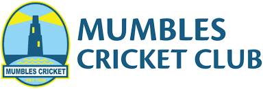 Image result for Cimla Cricket Club
