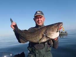 Image result for рыбалка