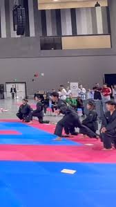 Image result for TopKick Martial Arts Center Leesburg