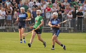 Image result for hurling