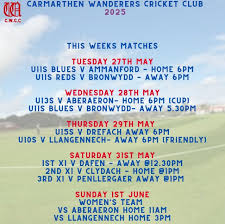 Image result for Carmarthen Wanderers Cricket Club