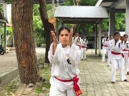 Image result for Silat Pd (Perisai Diri) UK