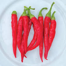 Afbeeldingsresultaat voor chile de arbol hot pepper