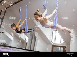 Image result for Aero Gymnastics Club