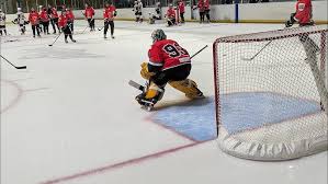 Image result for Basingstoke Buffalo