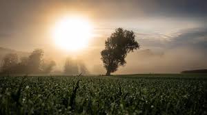 Image result for wetter