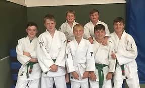 Image result for Judo Excellence