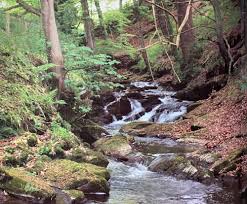 Image result for SIMTA Cumbria