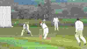 Image result for Milton Cricket Club