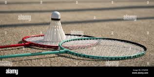 Image result for Greenmeadow Badminton Club