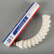 Image result for Shuttlecocks Badminton Club