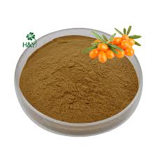 Attēlu rezultāti vaicājumam “Hippophae rhamnoides fruit”