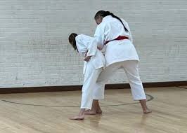 Image result for Haslemere Karate Club