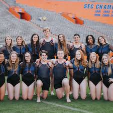 Image result for Biddick Sports College Community Gymnastics Club