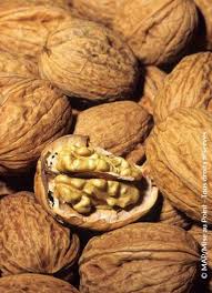 Attēlu rezultāti vaicājumam “Juglans regia fruit”